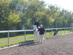 img_0278_web